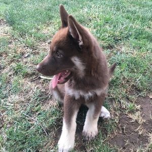 Meet your Posher, Fatima